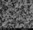 Nano-Zeolith ZSM-5 mit Teilchengröße 50~100nm für Katalysator/Adsorbent